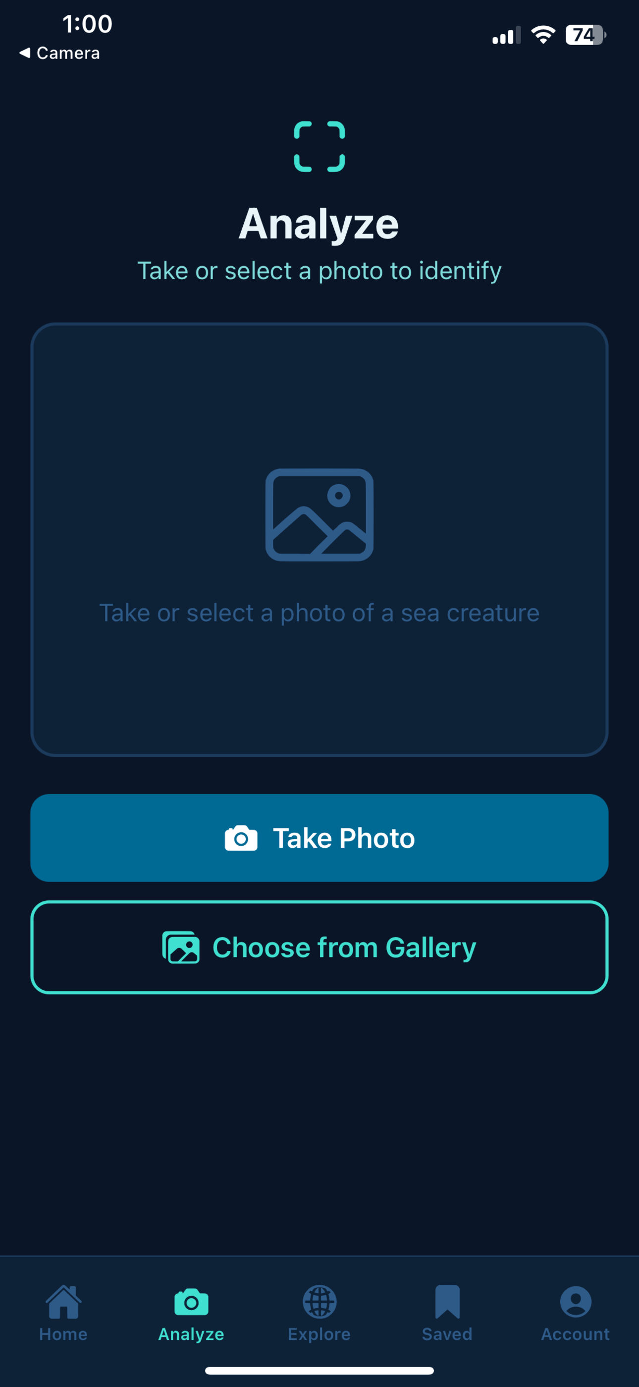Fillet Found analyze screen with camera and gallery options to photograph a sea creature for AI identification