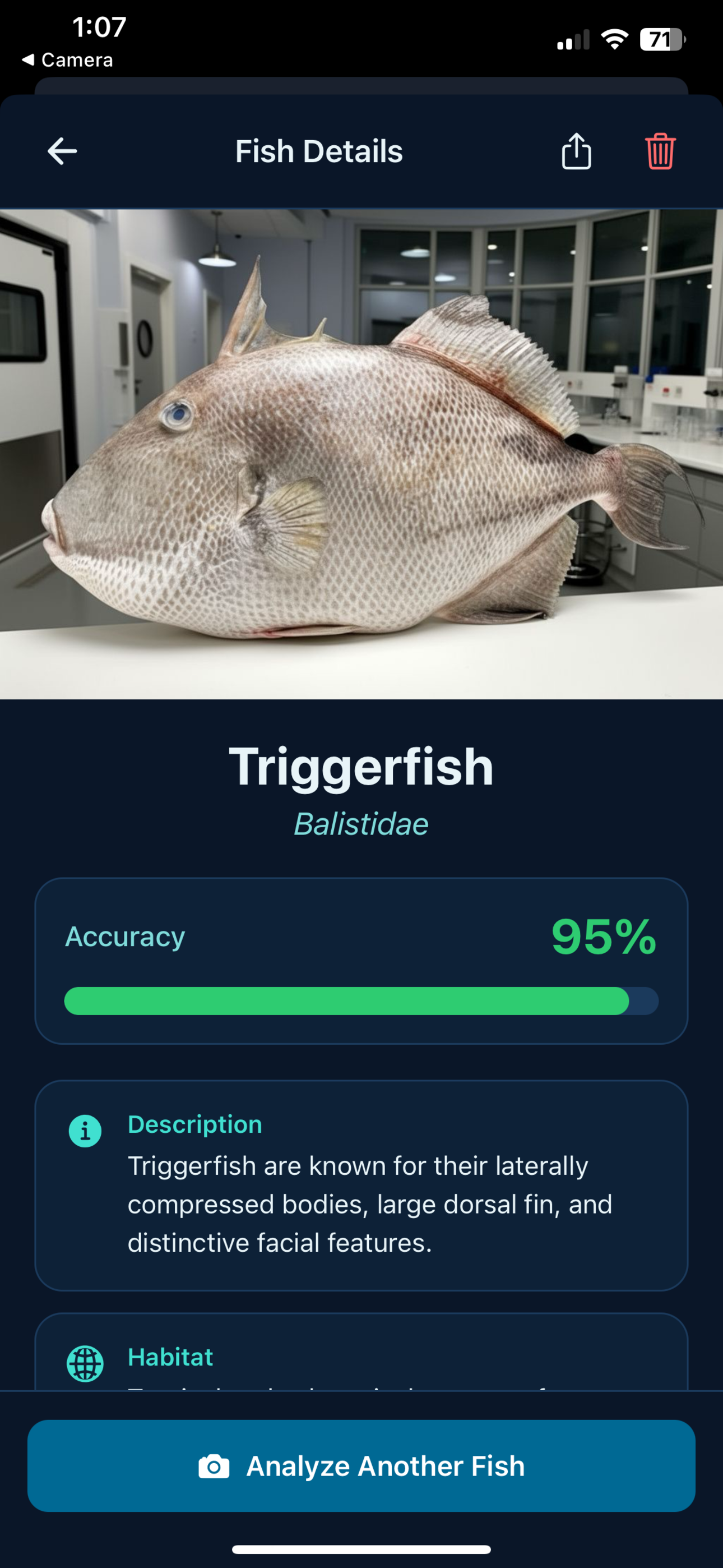 Fillet Found species details for Triggerfish showing 95% accuracy, description, habitat, and size information